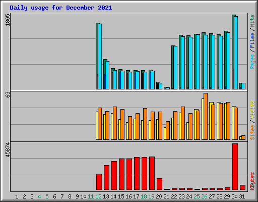 Daily usage for December 2021