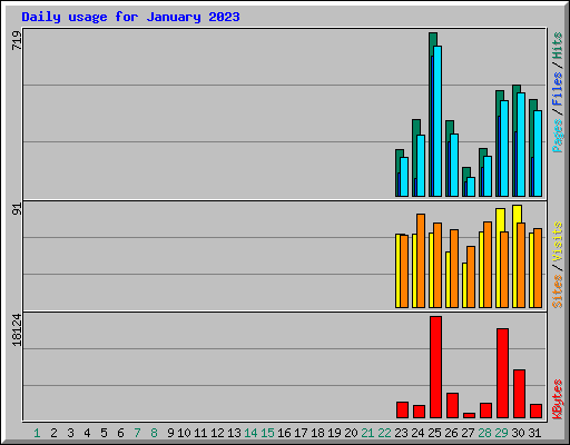 Daily usage for January 2023