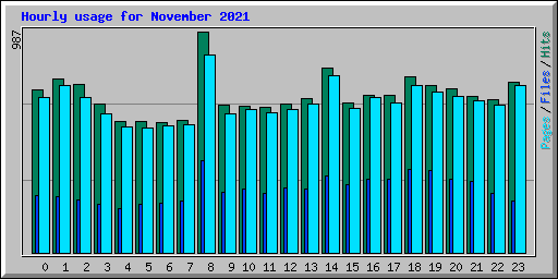 Hourly usage for November 2021