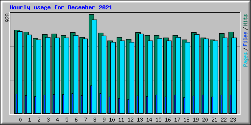 Hourly usage for December 2021