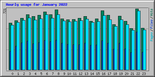 Hourly usage for January 2022