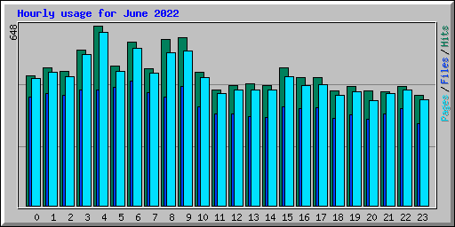 Hourly usage for June 2022