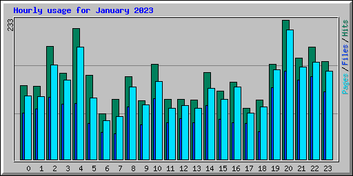 Hourly usage for January 2023