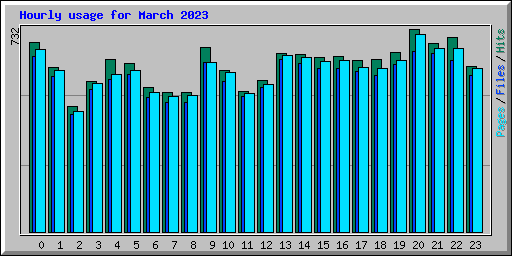 Hourly usage for March 2023