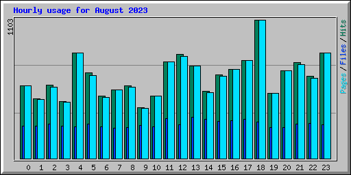 Hourly usage for August 2023