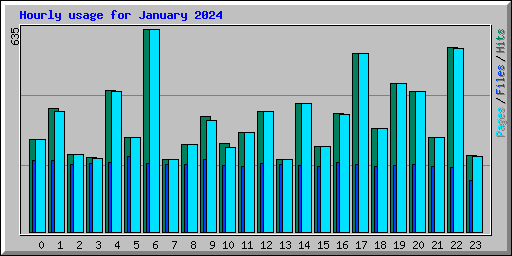 Hourly usage for January 2024