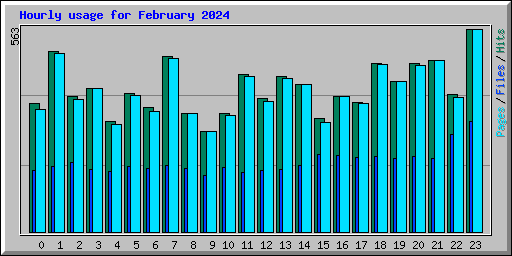 Hourly usage for February 2024