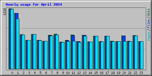 Hourly usage for April 2024