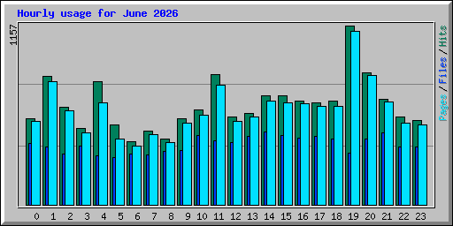 Hourly usage for June 2026